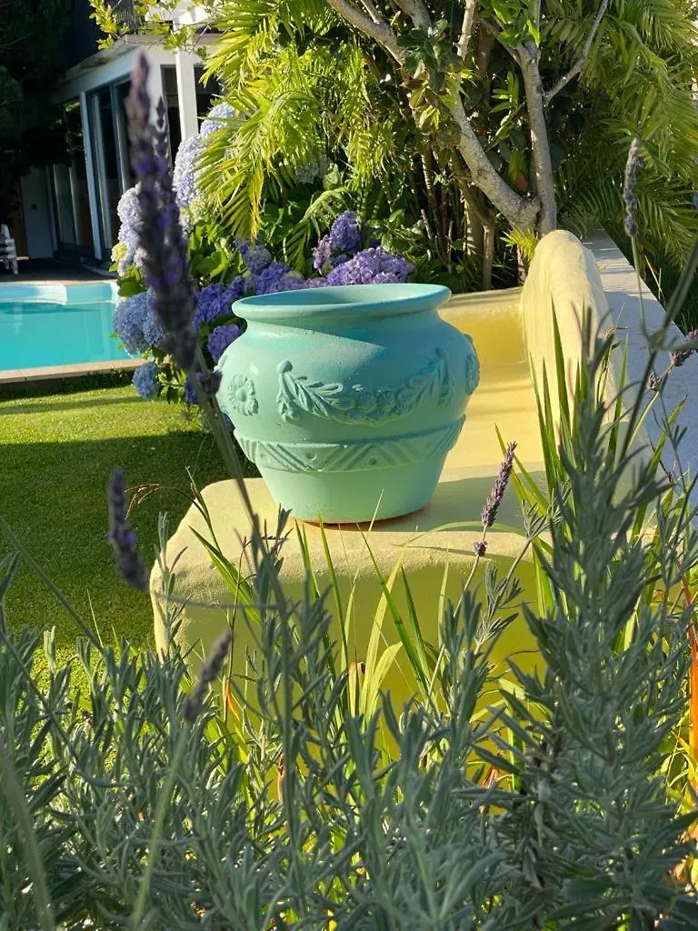 Casa De Prazeres Villa Vakantiehuis
