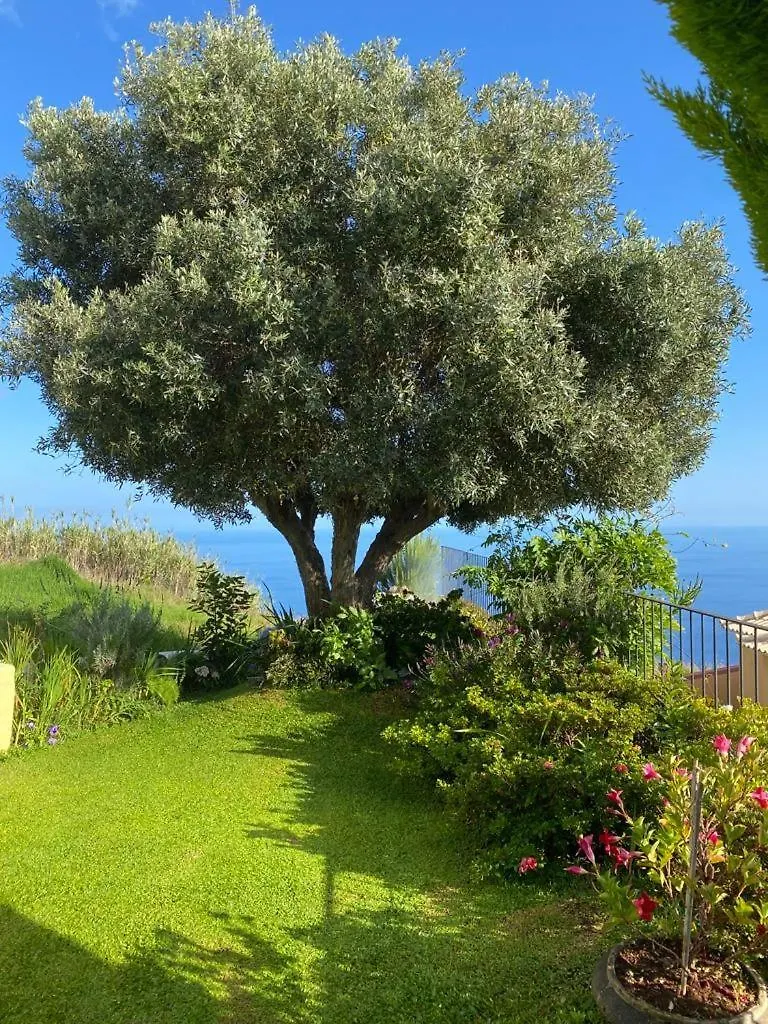 Casa De Prazeres Villa Vakantiehuis